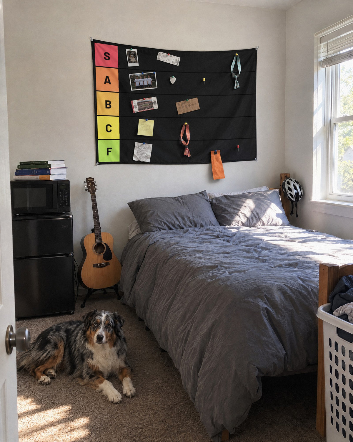 Tier list tapestry in a college bedroom with an Australian shepherd on the floor